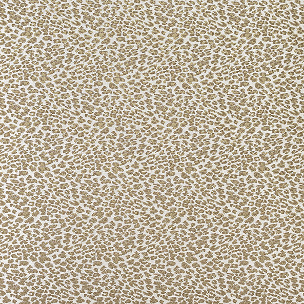Senegal Sand