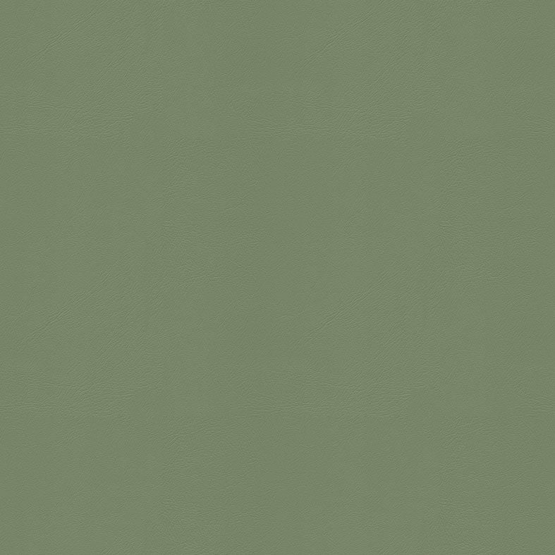 Studio+ (Encore) Fern