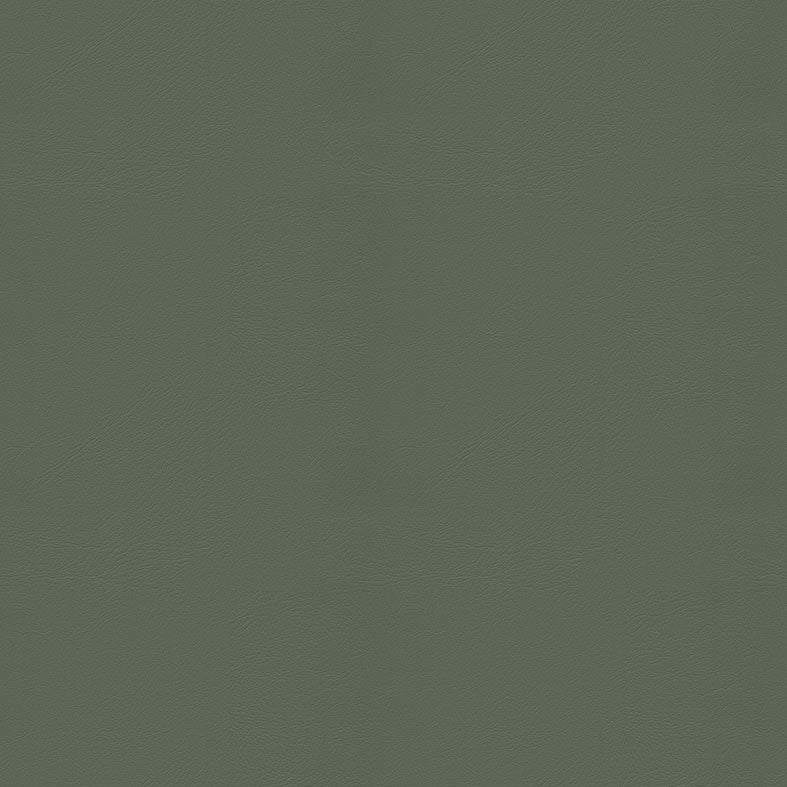 Studio+ (Encore) Olive