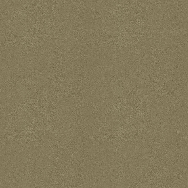 Studio+ (Encore) Toffee