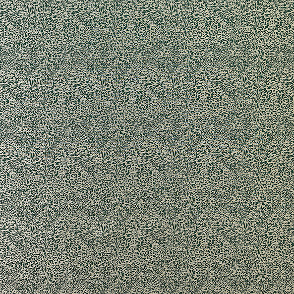 Tanzania Fern
