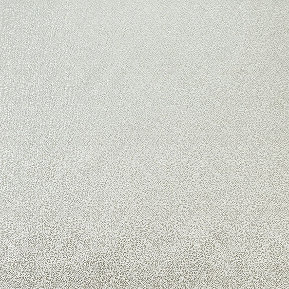 Tanzania Ivory