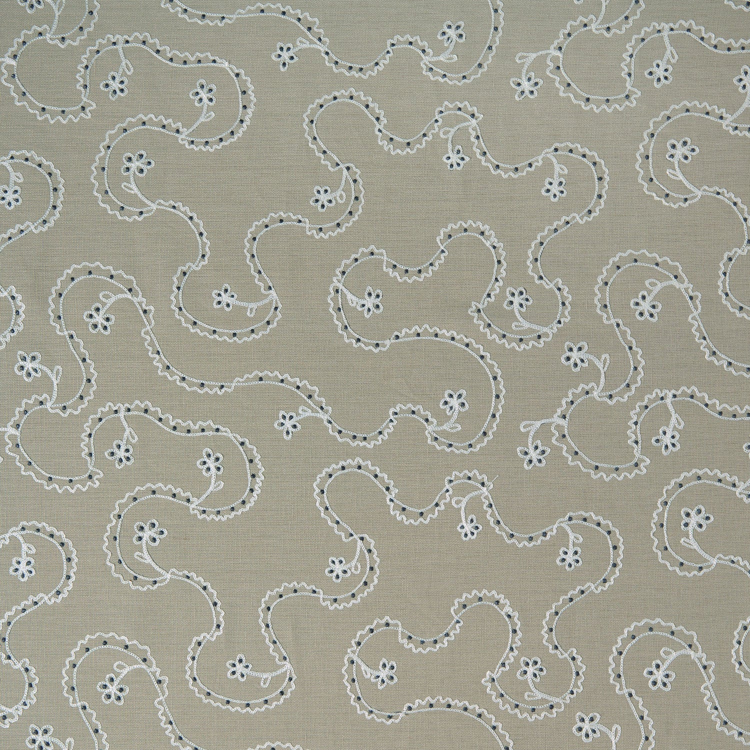 LF2491C Lysander 1 Teasel