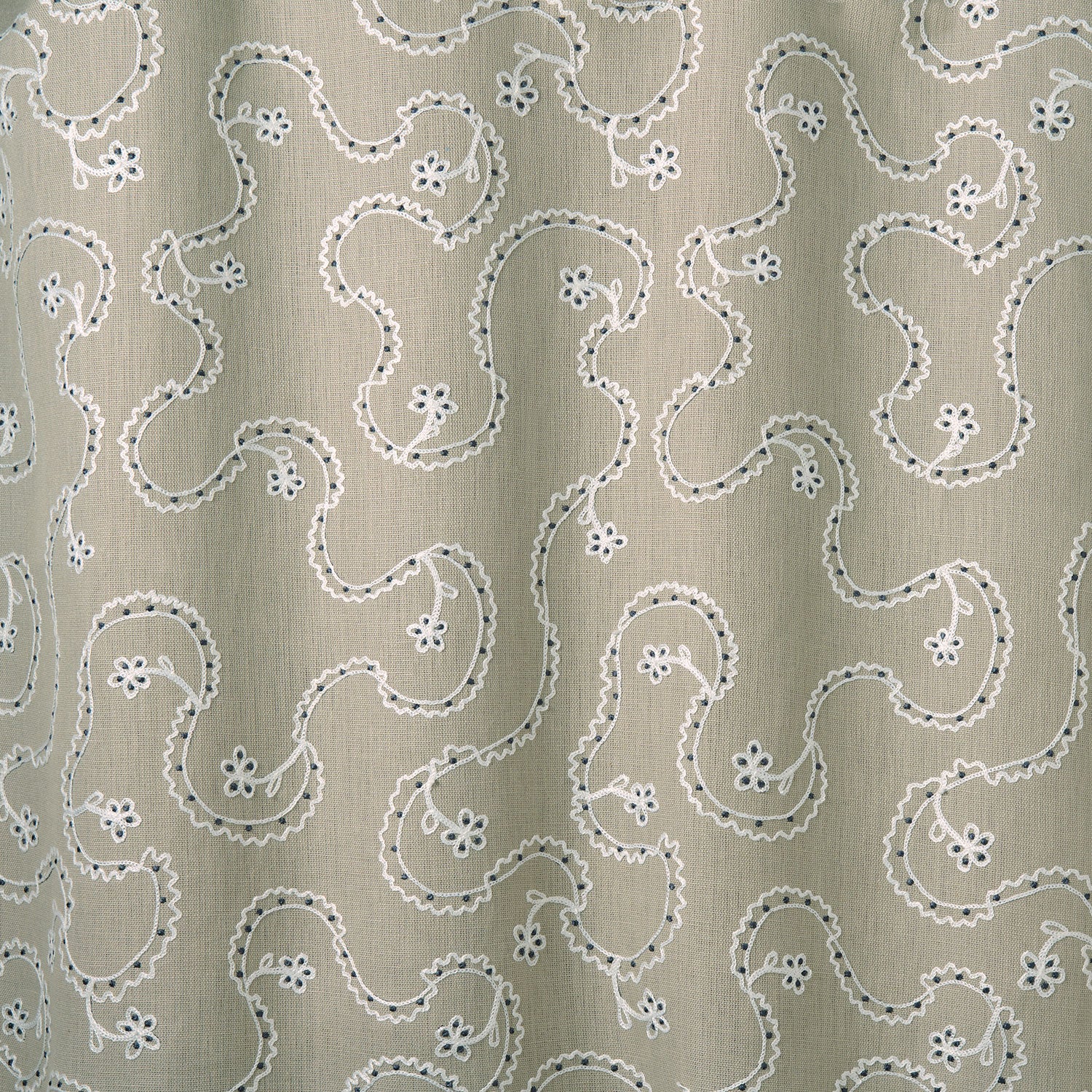 LF2491C Lysander 1 Teasel