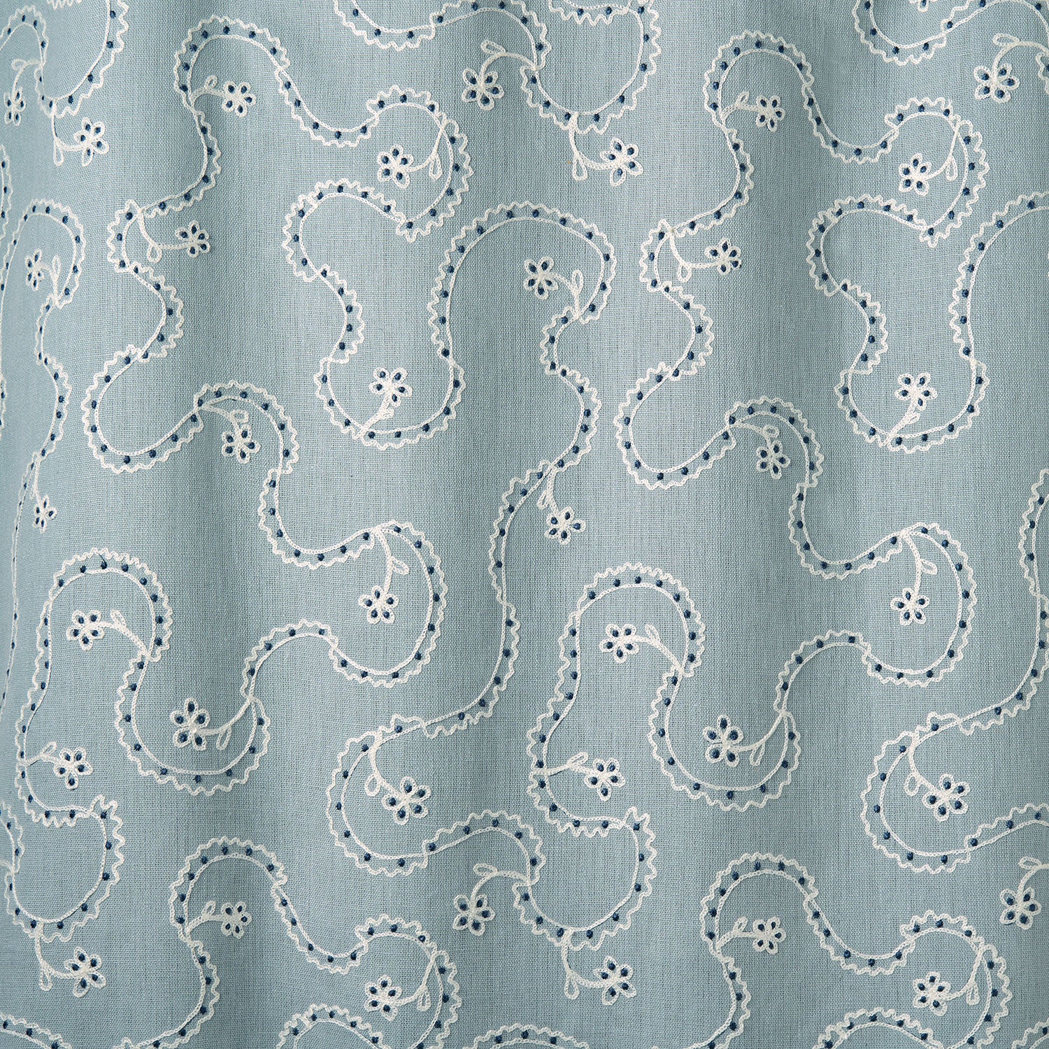 LF2491C Lysander 3 Hosta