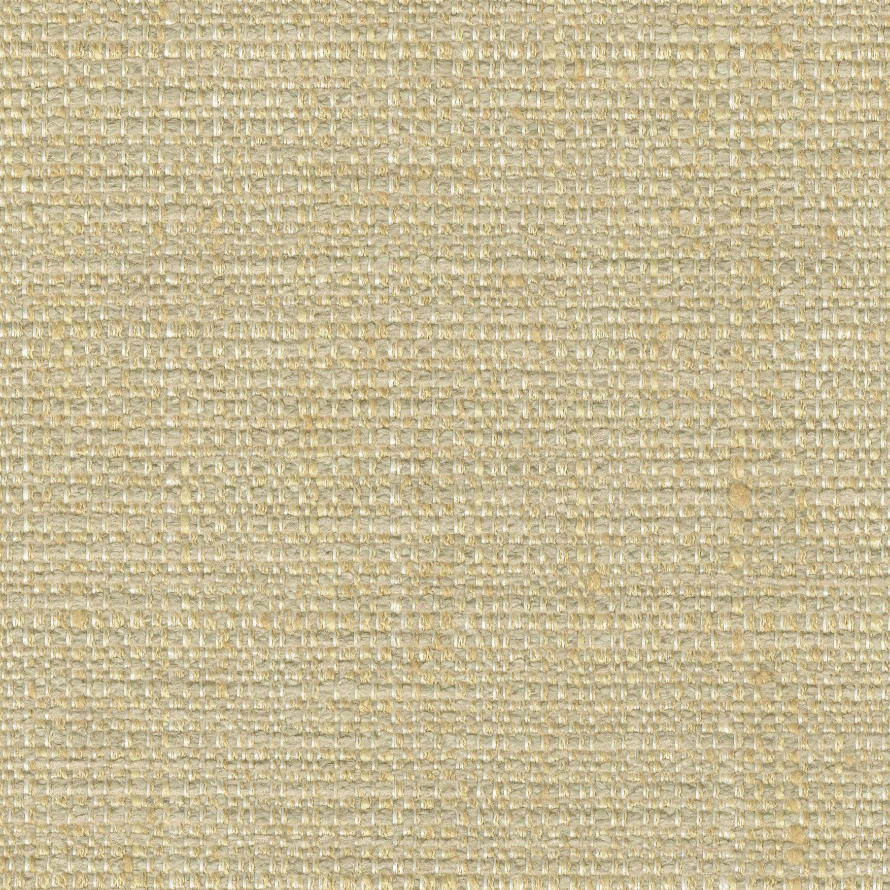 Trenton Cornsilk