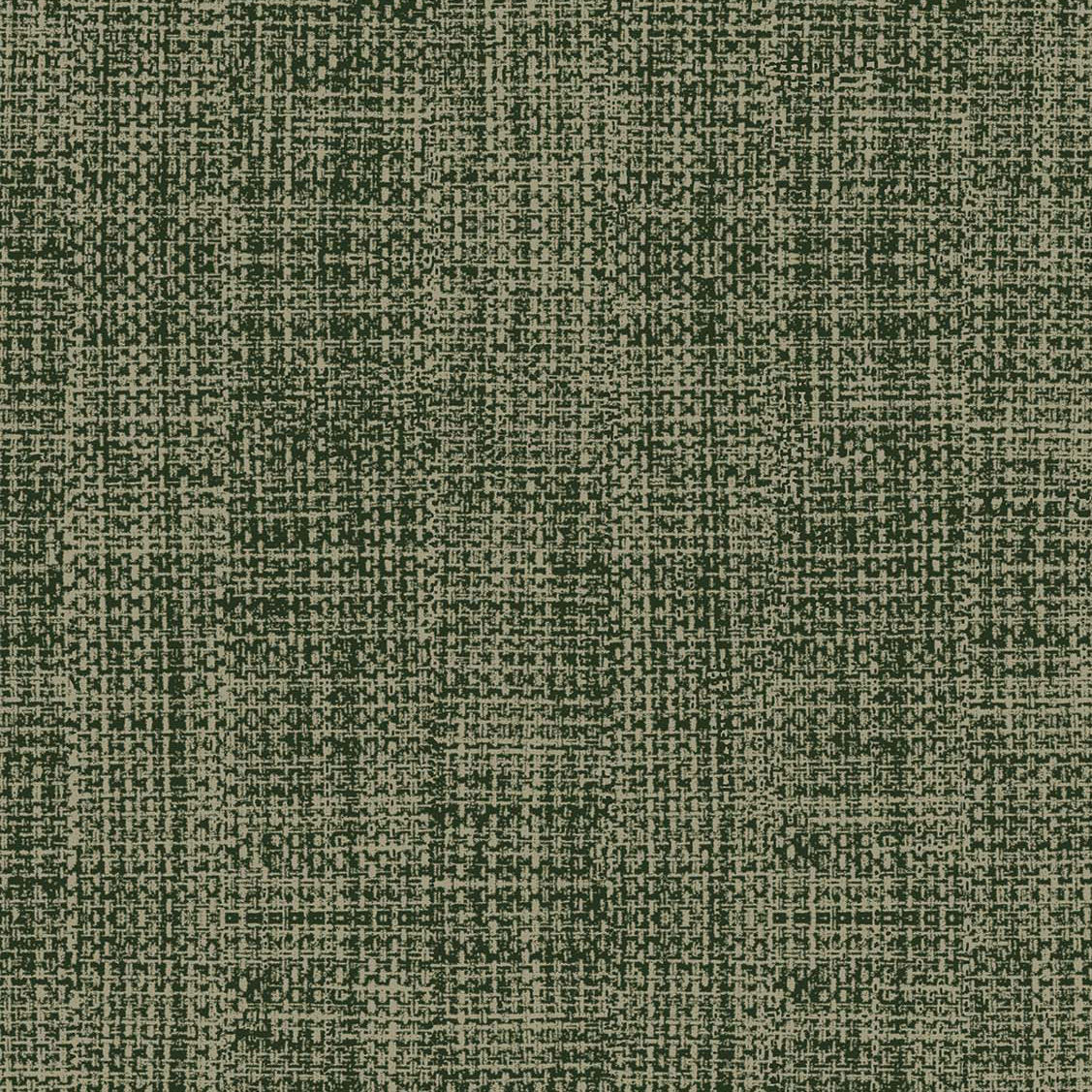 Tweed Bushland