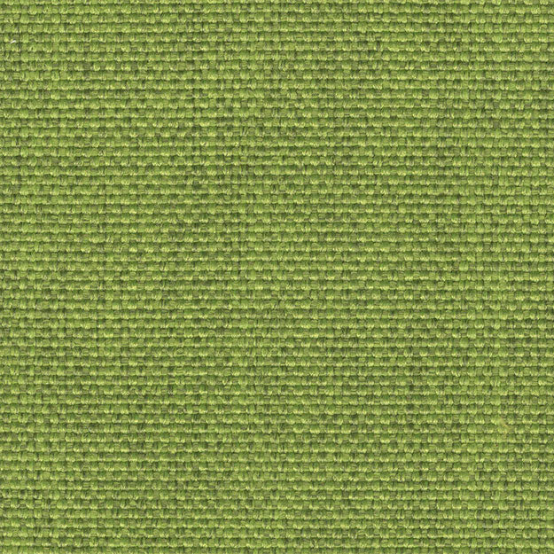 Umbria Clover