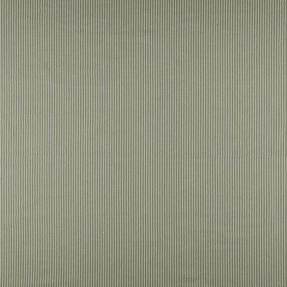 Venice Spruce