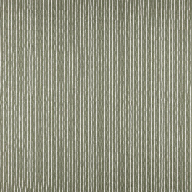 Venice Spruce