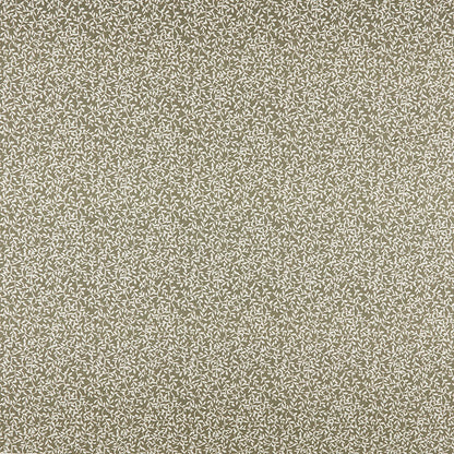Villette Oregano