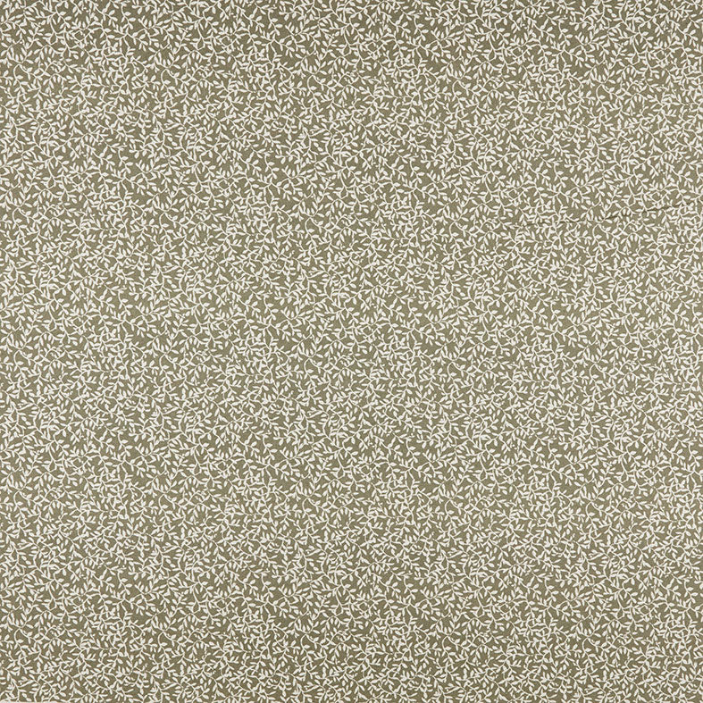 Villette Oregano