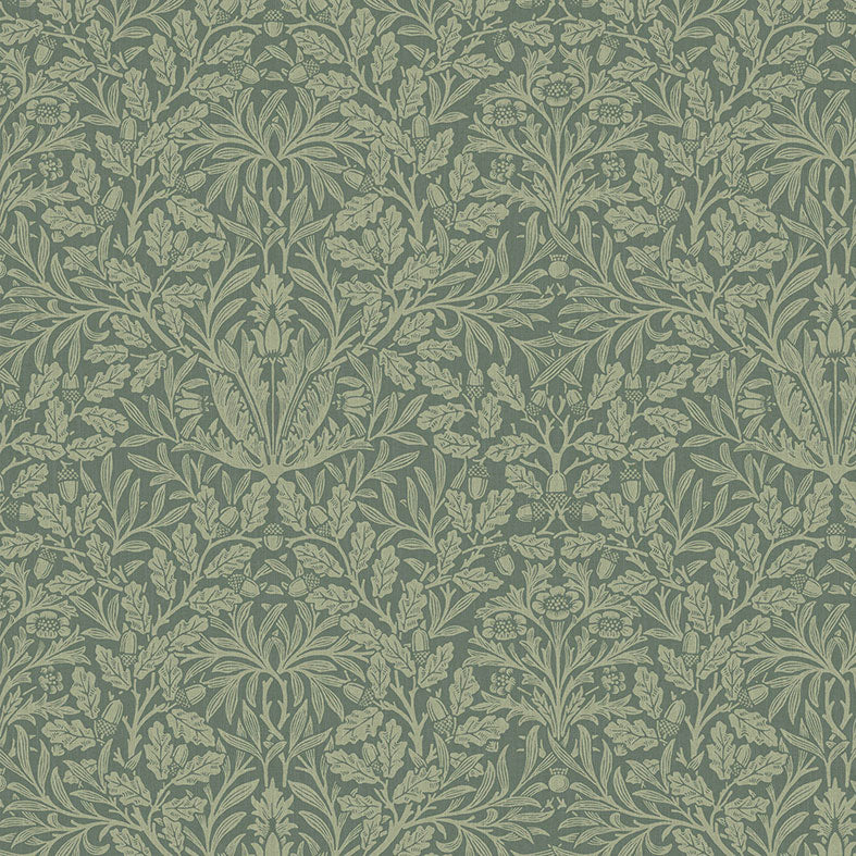 Acorn Eucalyptus