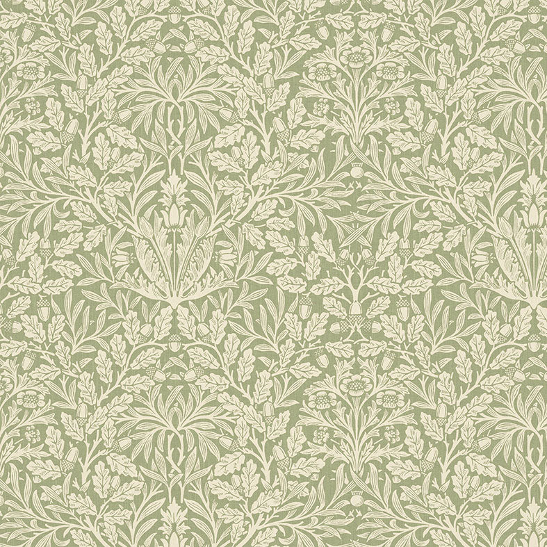 Acorn Lichen