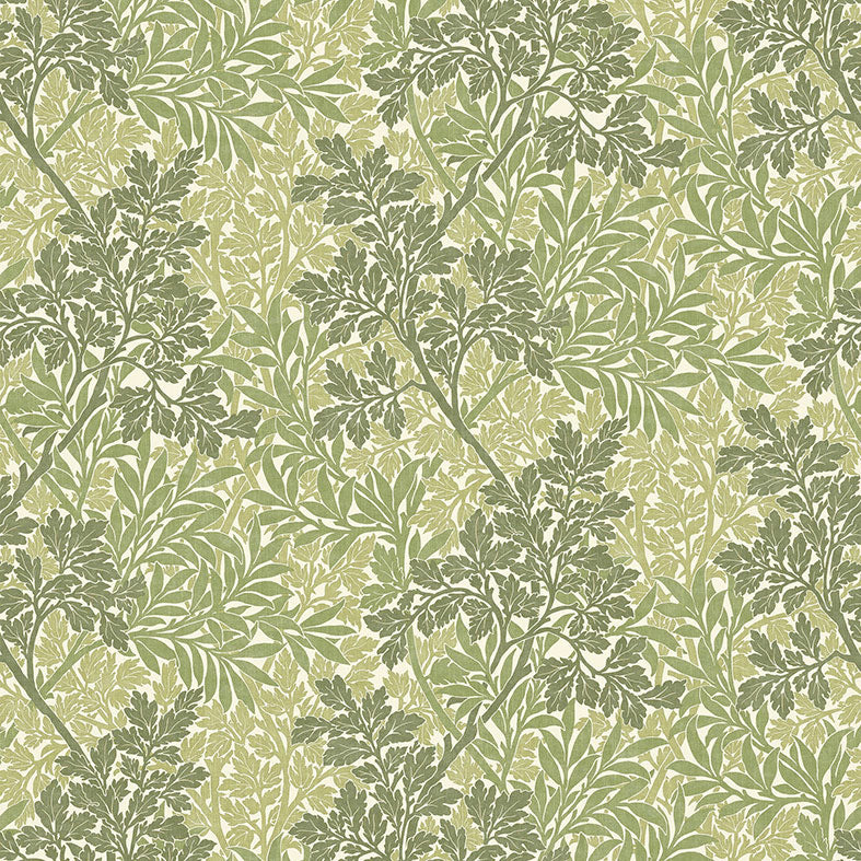 Foliage Fern