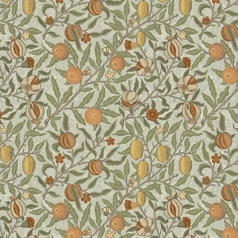 Fruit Lichen