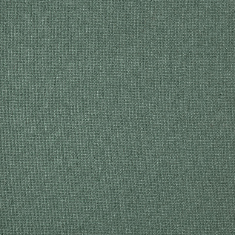 Reed Eucalyptus