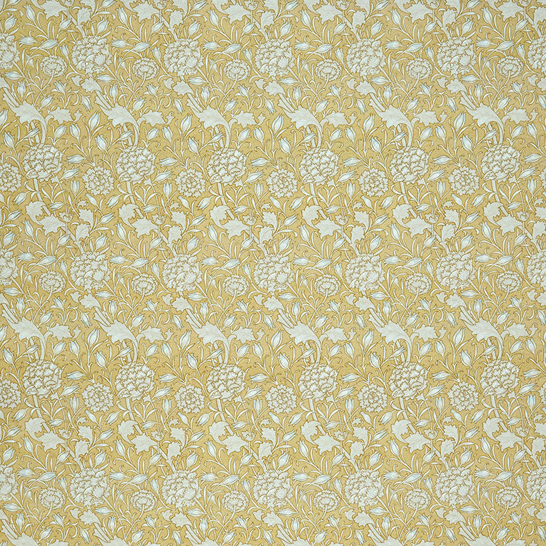 Wild Tulip Ochre