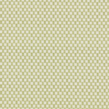 Zoe Pistachio