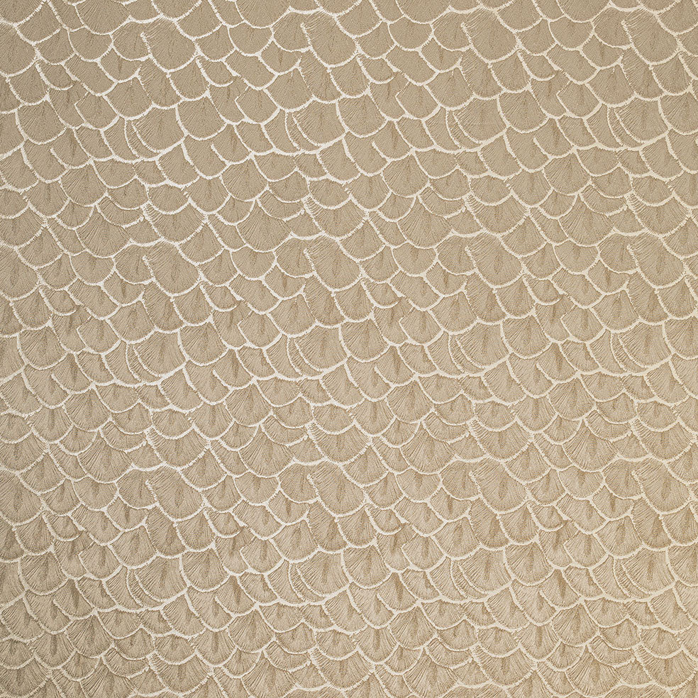 Amida Fawn