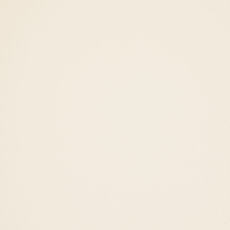 Arezzo Ivory