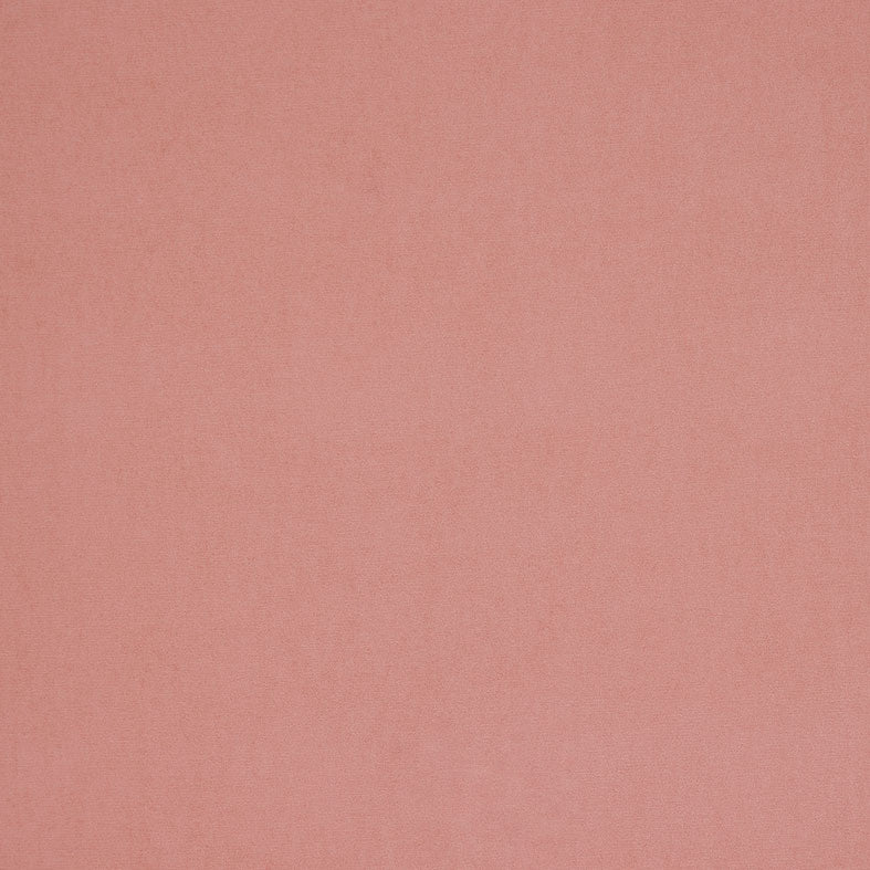 Arezzo Rose