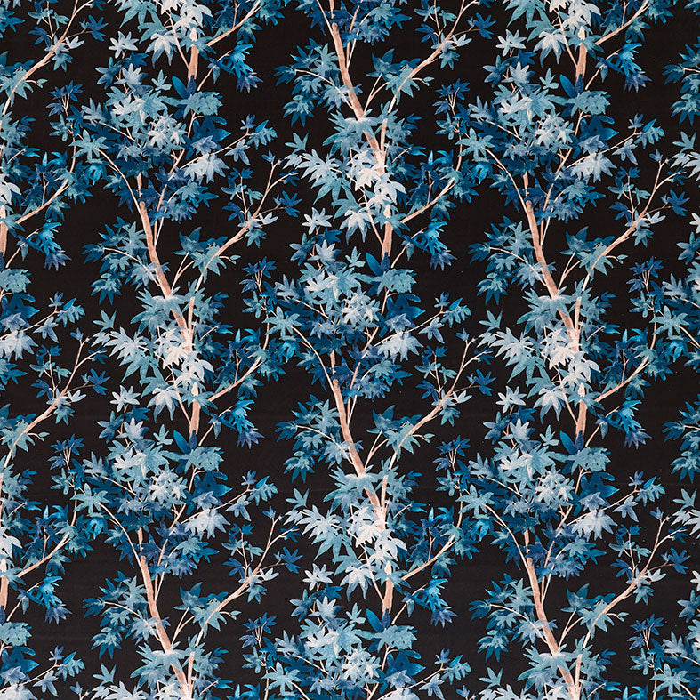 Aspen Midnight