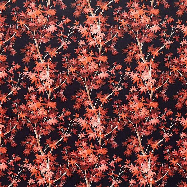 Aspen Scarlet