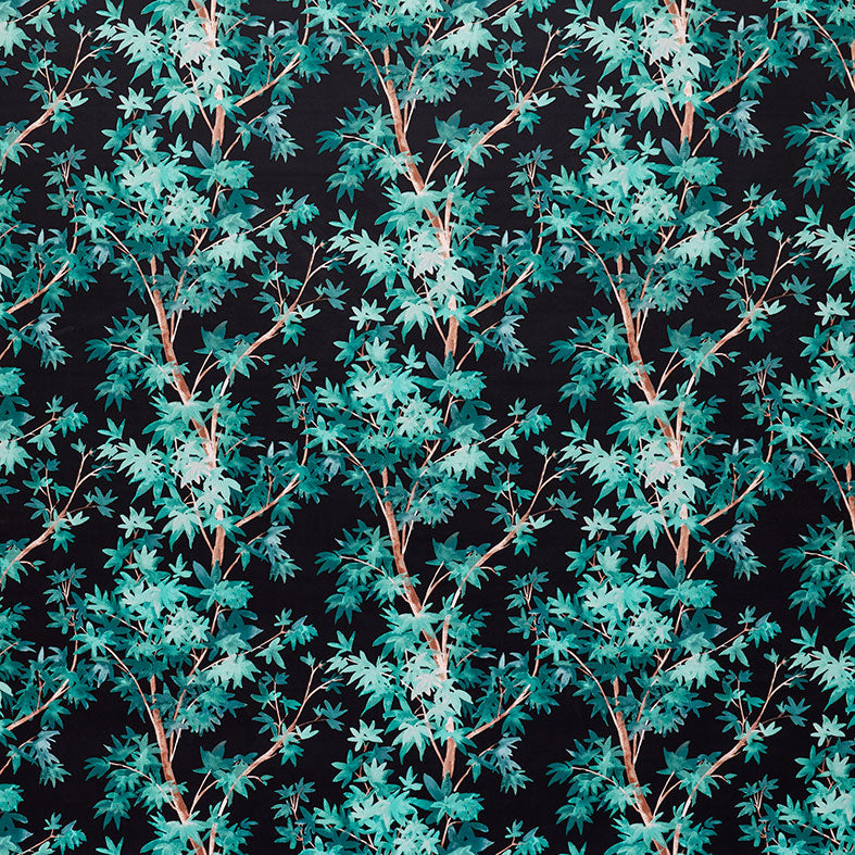 Aspen Teal