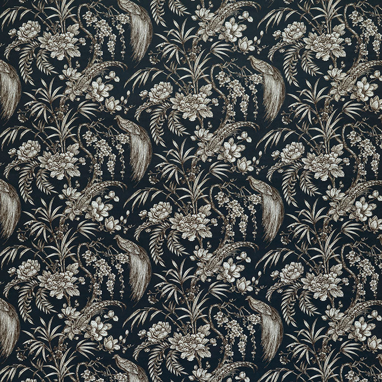 Botanist Ocean