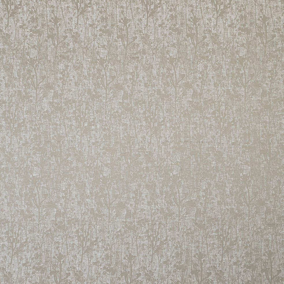 Buckby Latte