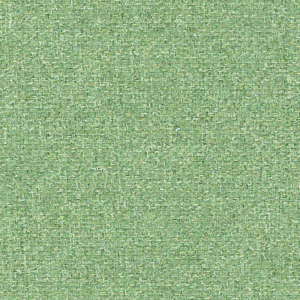 Byron Fern