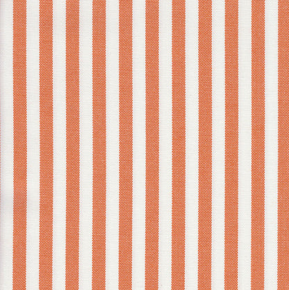 Cannes Tangerine
