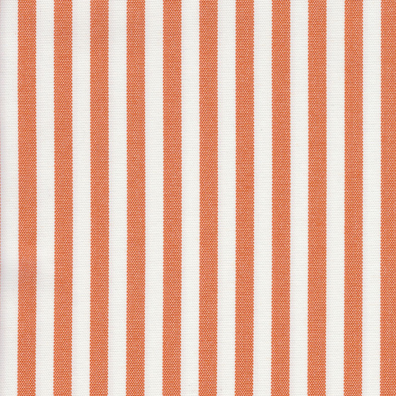 Cannes Tangerine