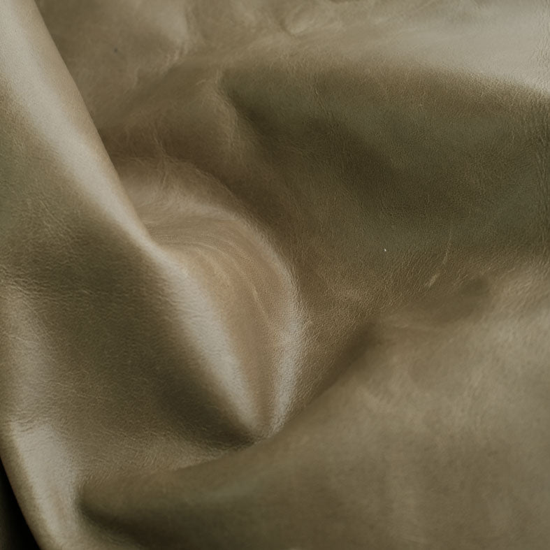 Coronet Olive