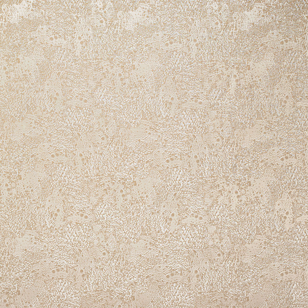 Dolomite Sandstone