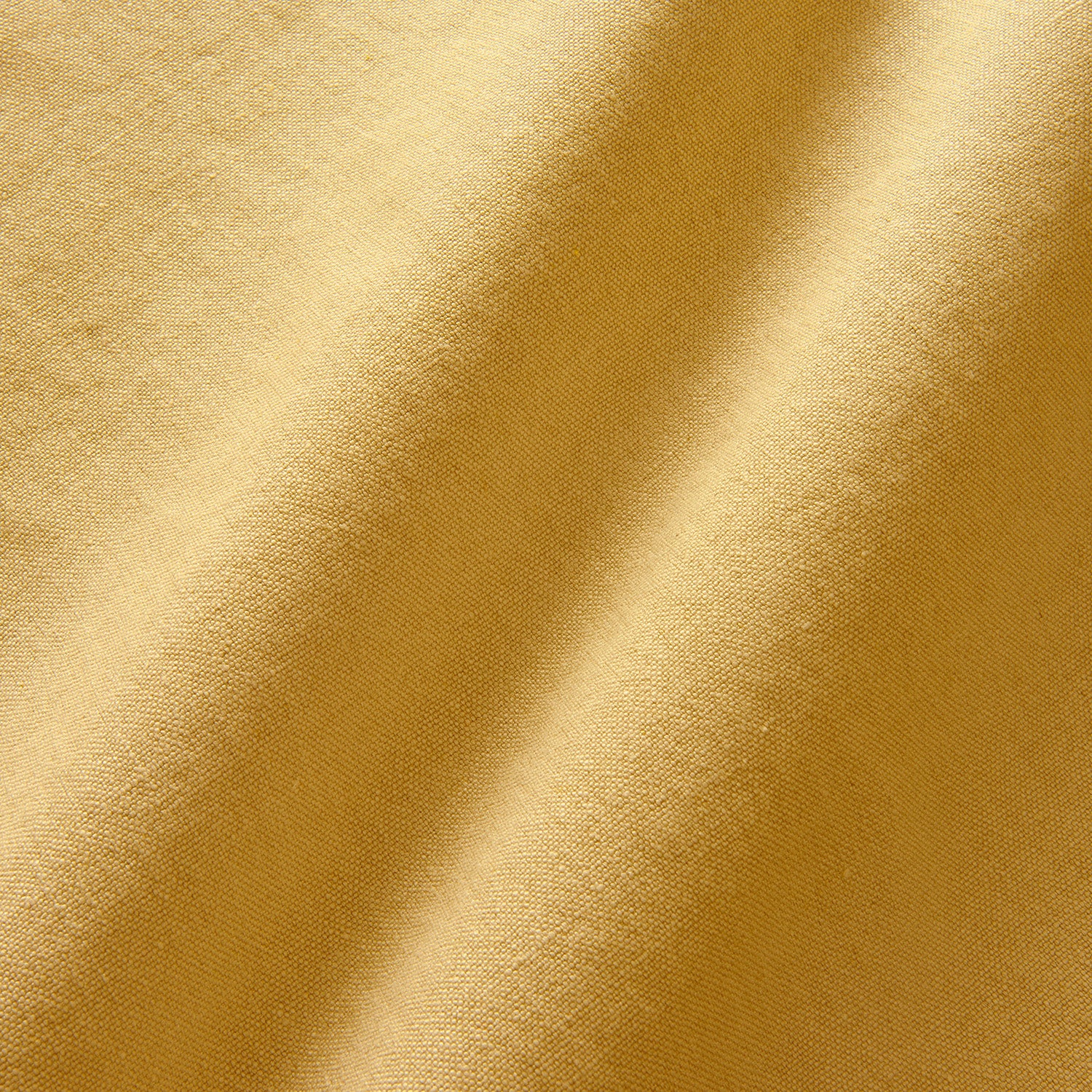 LF2282C Elba 20 Maize