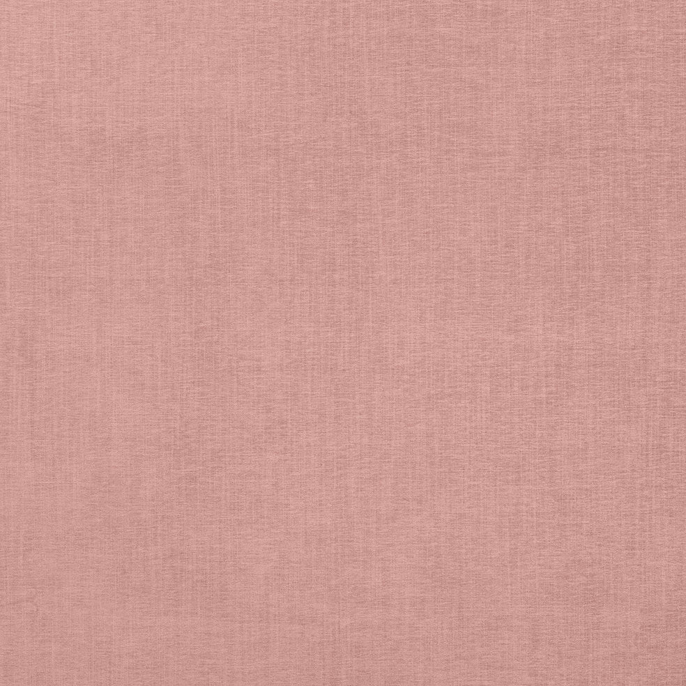 Finley Coral