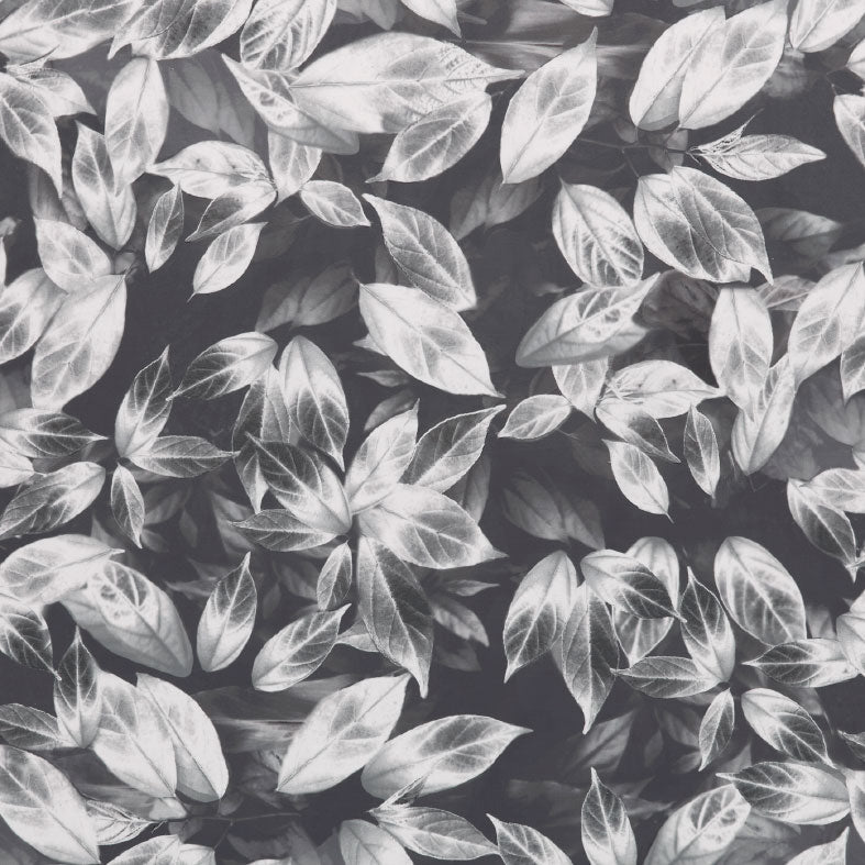 Giardino Slate
