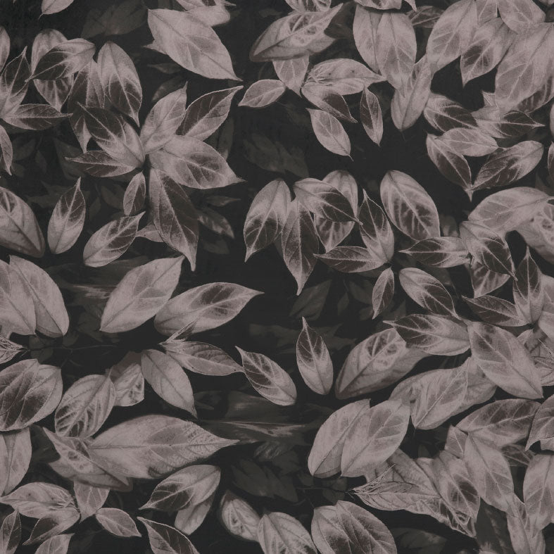 Giardino Truffle