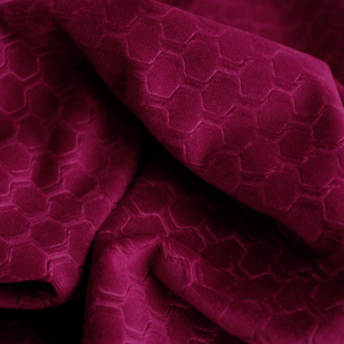 Honeycomb Tulip
