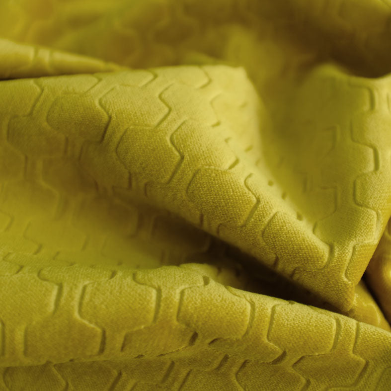 Honeycomb Wattle