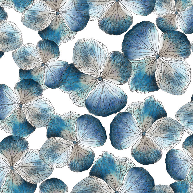Hydrangea Blue