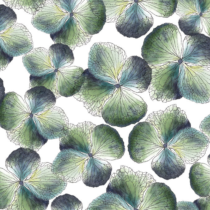 Hydrangea Teal
