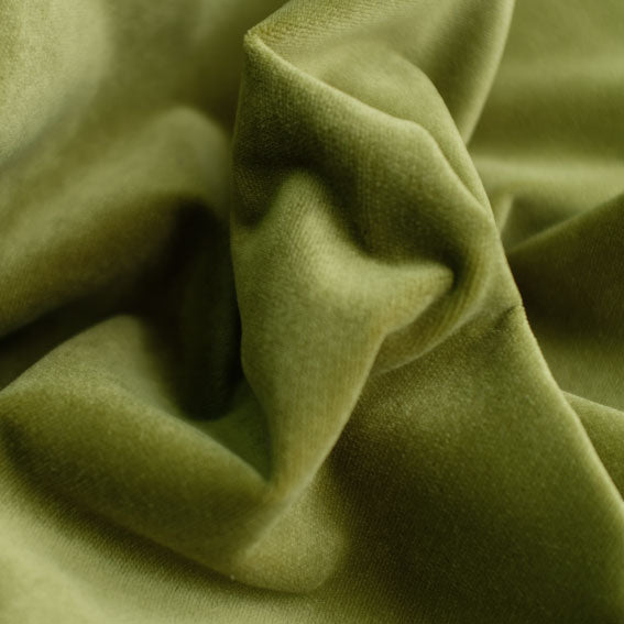 Indus Pistachio