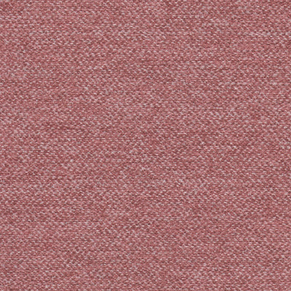 Jasper Rosewood