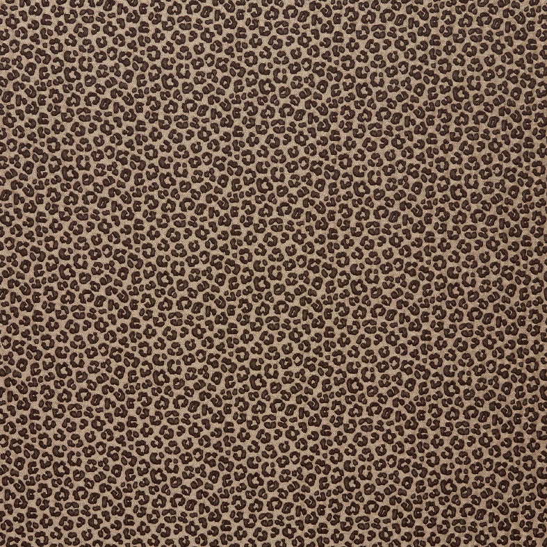 Amur Bronze