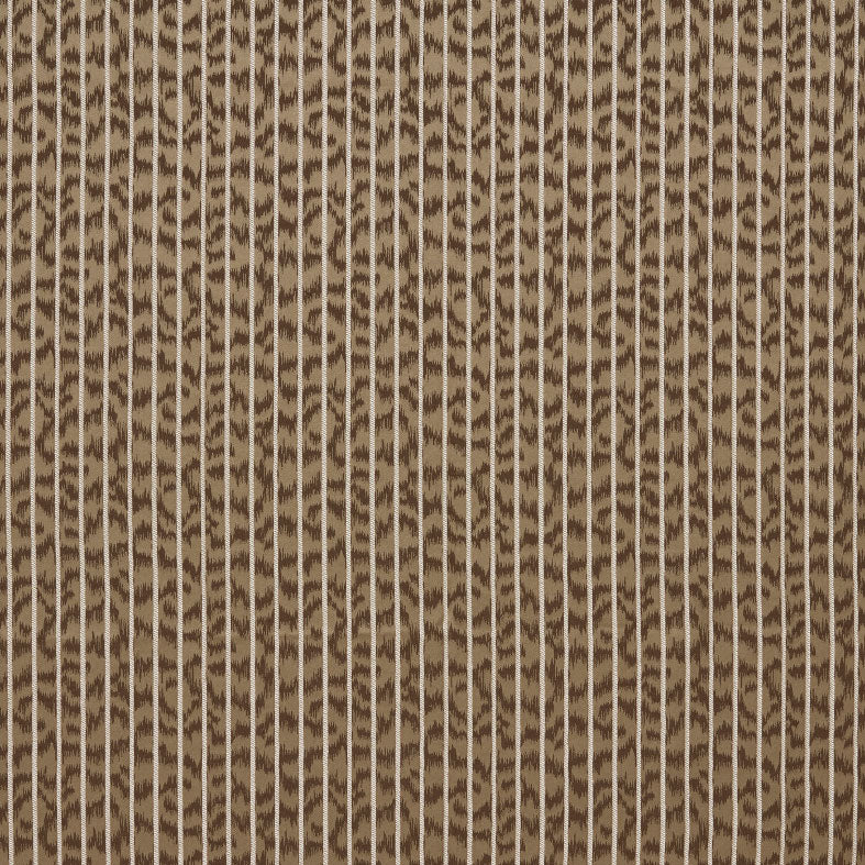 Caracal Bronze