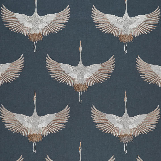 Demoiselle Midnight
