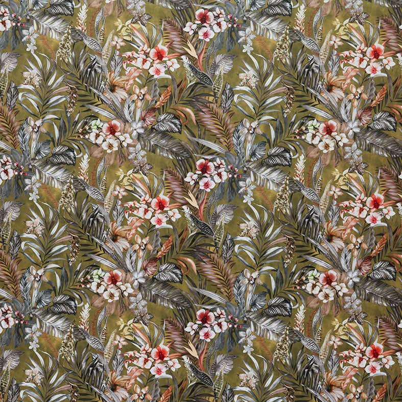 Kew Olive
